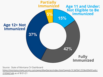Montana Vaccine Information Graphic