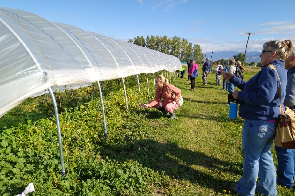 A group of people on the right hand side of the image are taking a look at a hoop house with vegetables on the left side.